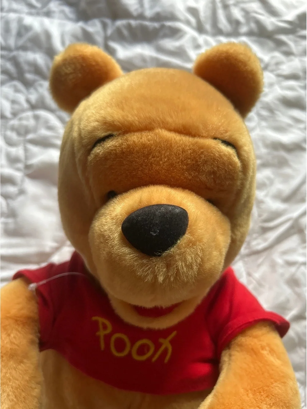 Disney Winnie the Pooh Plush Stuffed Animal Toy